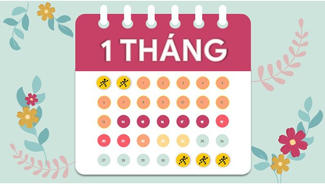 1 nam hoc co bao nhieu tuan